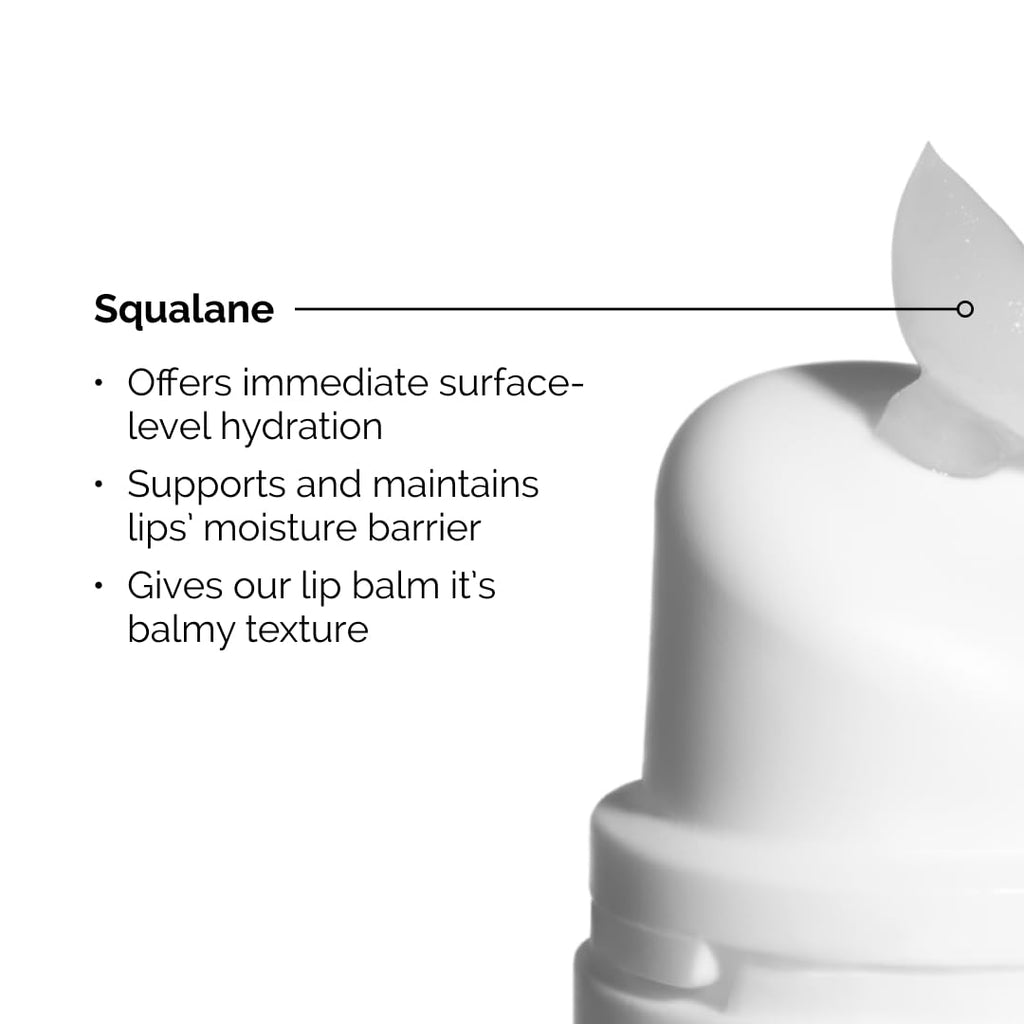 The Ordinary Lip Care Duo - Skin Care Bundle Set
