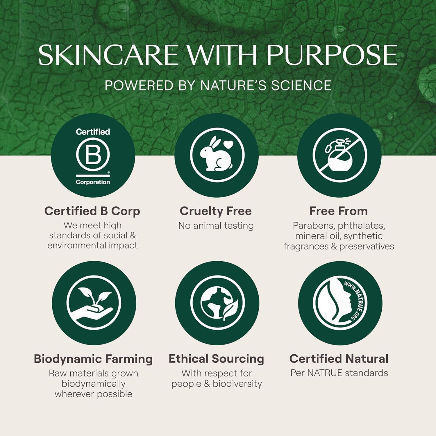 Skin Food Face Care Nourishing Day Cream